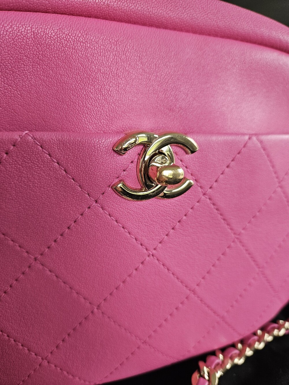 Chanel Pink Goatskin Camera Quilted Crossbody Bag - Picture 5 of 9